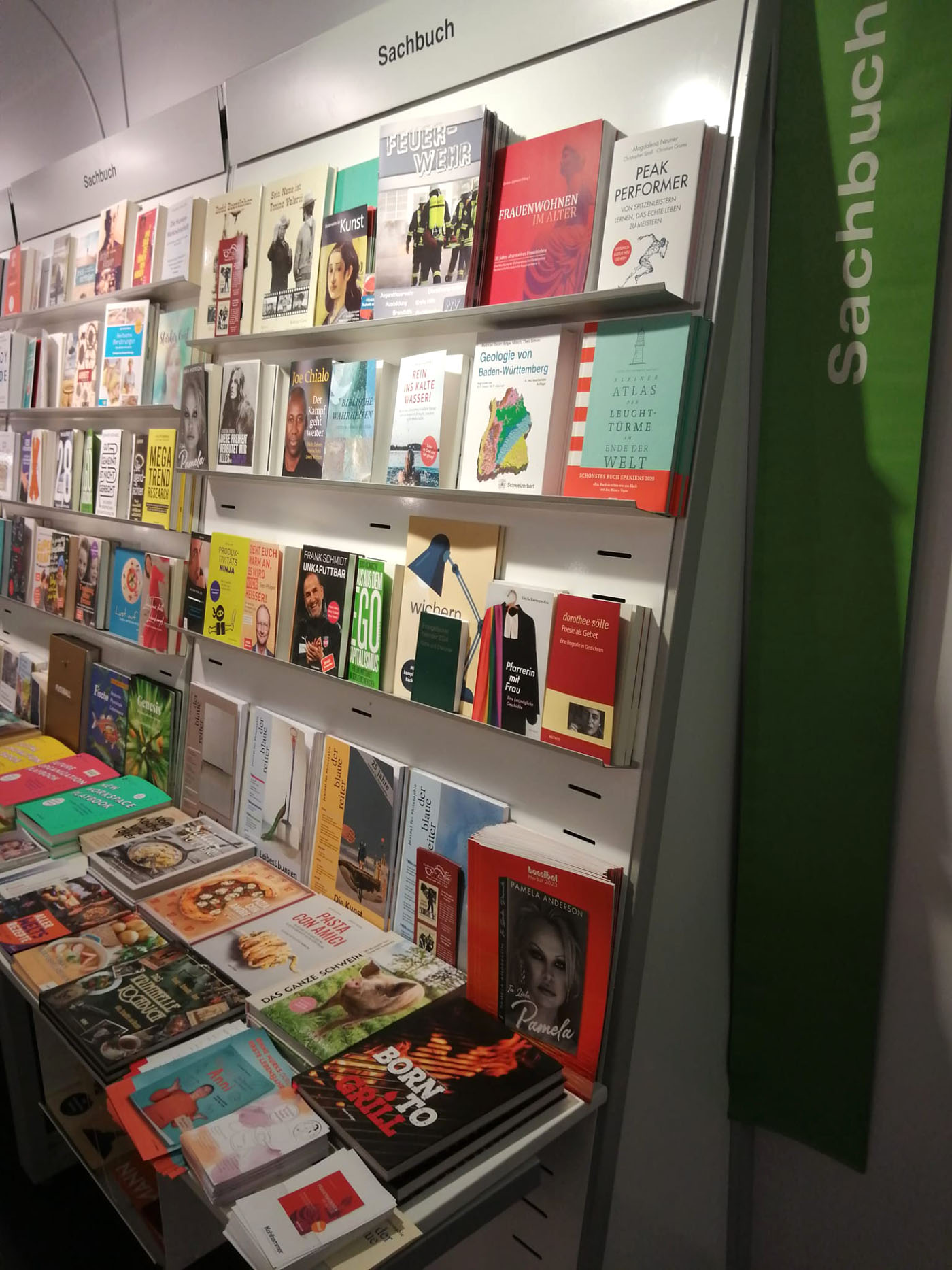Blick auf Buchregale, oben unser Buch: Frauenwohnen im Alter