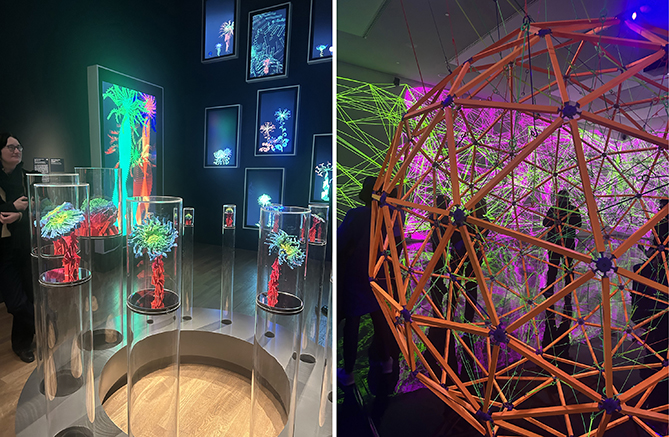 Planzen und Gebilde nach digitalem Muster nachgebaut