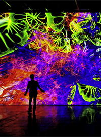 Bunte amorphe Formen auf Wand projeziert, mit Mensch als schwarze Silhouette davor