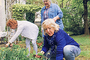 Die Wohnfrauen bei der gemeinsamen Gartenarbeit
